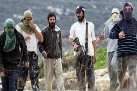 5 إصابات في هجوم المستوطنين  على خلايل اللوز و أم صفا 